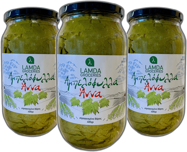 ampelofylla-anna-neas-gonias (1)